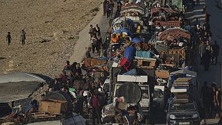 Pix of the Day: September 15, 2025