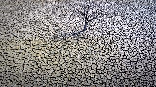 Earth breaks global annual heat records in 2023