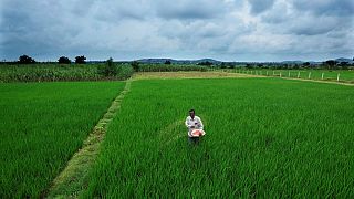 Botswana’s young farmers hope new government will boost agriculture sector