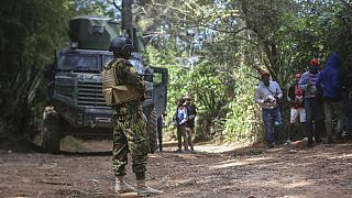 Pics of the day: March 26, 2025