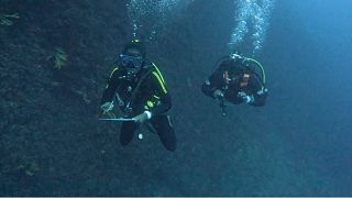 Cameroonian marine conservationists trained as scientific divers 