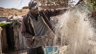 Facing economic pressure, Gambian fishermen are fighting trawlers - and each other