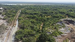 Zambian farmers sue Chinese mining company over toxic spill