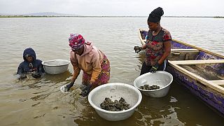 Pix of the Day: September 18, 2025