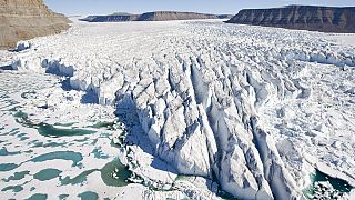 Paris Peace Forum Addresses Climate Change, AI Regulation, and Global Cooperation