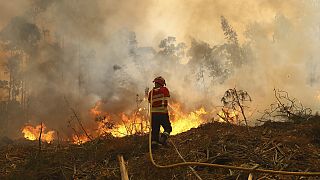 Morocco sends two Canadair planes to battle wildfires in Portugal