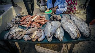 Senegal’s fishing crisis: Overfishing, migration, survival