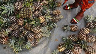 Kenyan company making sustainable textiles out of pineapple waste