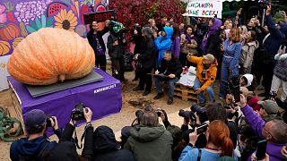 Russian Farmer breaks national record with 969 kilo pumpkin at giant vegetable showdown