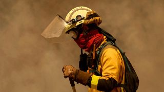 Protesters accuse Castile and León of mishandling deadly wildfires