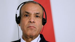 US delegation to join Gaza peace talks in Sharm el-Sheikh, Egyptian Foreign Minister says