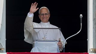 Pope Leo urges end to violence in Haiti