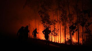 Fires in northwest Spain destroy hundreds of hectares of forest