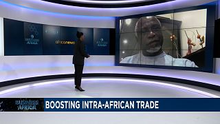 Transforming African Economies through Pan-Africanization