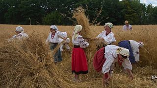 UN-Russia agricultural export memorandum will not be extended