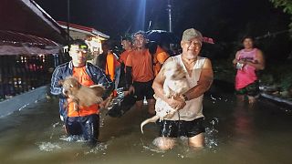 Thousands evacuated as Typhoon Bualoi triggers flood and landslide warnings