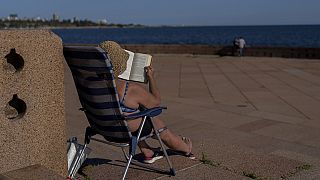 January 2025: a month of extreme heat according to Copernicus