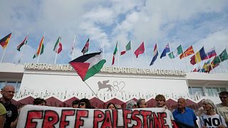 Hollywood figures pledge to boycott Israeli film institutions 'complicit in Gaza genocide'