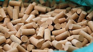 Morocco pilots new and more efficient technique for harvesting cork