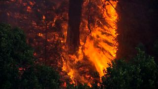 Fresh wildfires force evacuations in northern Spain 