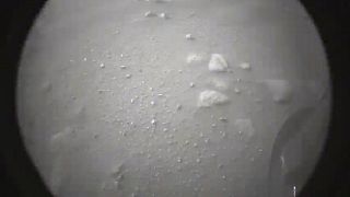 NASA's Rover Perseverance Has Successfully Landed on Mars!