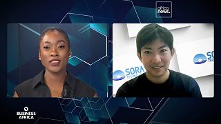 AI drones lead breakthrough against malaria in Africa [Business Africa]