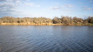 Heavy rain causes major flood damage in Morocco's Nador province