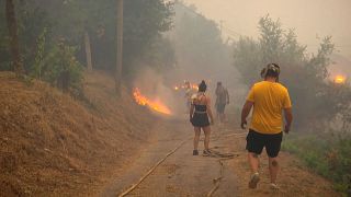 Over 200 hectares burned as residents evacuated in Galicia wildfire