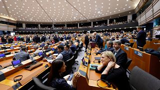 Botswana's FM says country wants to deepen trade with EU amid Trump's tariffs