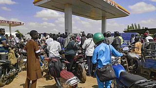 Pix of the Day: October 08, 2025