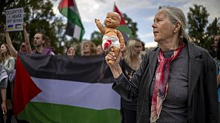 Pix of the Day: August 5, 2025