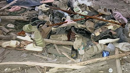 Pix of the Day: October 02, 2025