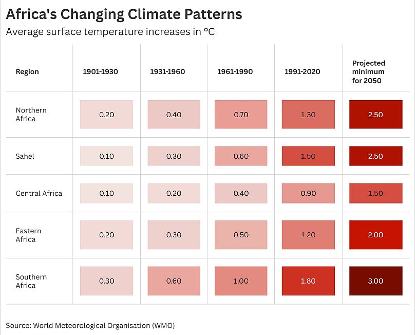 Surface temperatures are set to increase across all African regions according to World Meteorological Organisation (WMO) data.